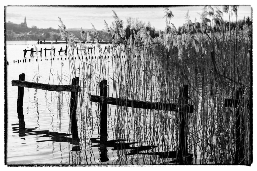Photographie noir et blanc de barrières en bois dans le lac d'Annecy
