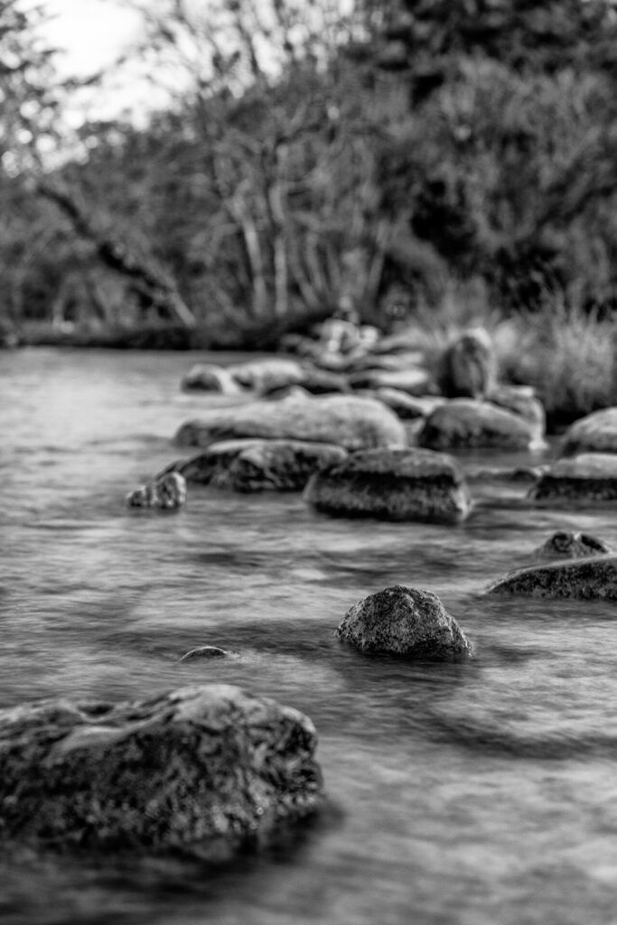 Rochers au bord du lac d'Annecy