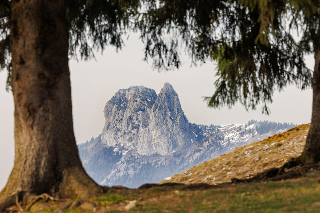 Les dents de Lanfon depuis le col de la Forclaz